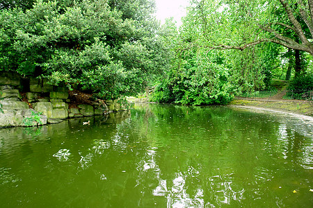 都柏林的圣斯蒂芬绿公园国家首都植物美化环境森林反射树木园艺草地图片