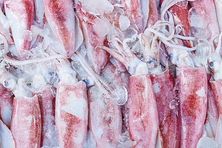 市场上的新鲜鱿鱼触手钓鱼动物眼睛海洋头足类海鲜软体美食烹饪图片