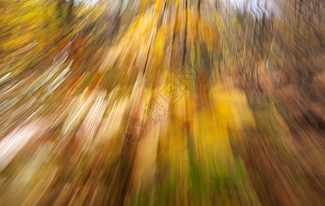 秋季森林的抽象图象图片