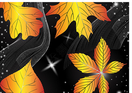 秋季背景摘要橡木横幅海报亮度橙子季节风格装饰卡片板栗图片