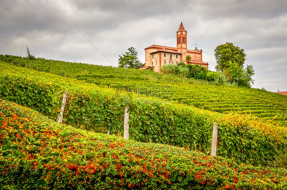 意大利皮埃蒙特地区葡萄园和旧教堂的景观图图片