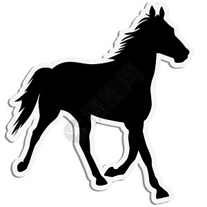 马的矢量光影野马动物夹子荒野艺术行动白色饲养插图农场图片