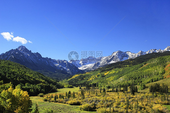 科罗拉多Sneffels山山脉乌雷鼻涕虫叶子荒野风景森林划分天空蓝色溪流图片