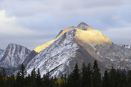 科罗拉多Weminuche荒野蓝色天空森林山脉地区性顶峰风景国家松树图片