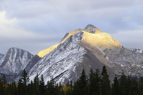 科罗拉多Weminuche荒野蓝色天空森林山脉地区性顶峰风景国家松树图片