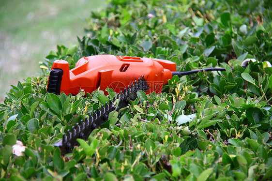 绿色灌木的修剪工具刀具力量电气园艺汽油灌木丛花园园丁剪子院子图片