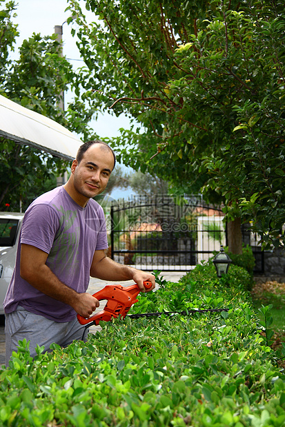 男人在花园里用工具修剪灌木丛刀具剪子工人院子园丁生长园艺力量灌木绿色图片