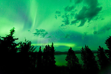 北方森林上空高度绿绿色的北光摄影漩涡夜空天空领土磁层星星蓝色亮度地区图片