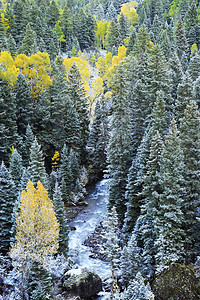 科罗拉多州斯内弗勒山带新雪的山脉松树叶子天空蓝色划分溪流橙子暴风雪顶峰风景图片