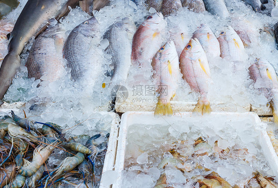 市场上的新海鲜食品市场图片