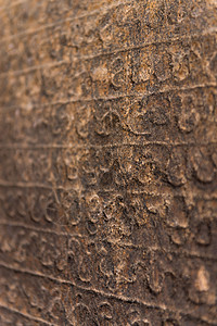 古老的僧伽罗人刻在石上雕塑文化书面书法字母岩石雕刻历史脚本大理石图片