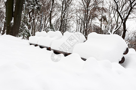 公园的雪冬白色孤独森林长椅城市途径场景季节性季节雪堆图片