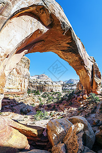 希克曼桥沙漠岩石砂岩侵蚀树木地标国家阳光编队石头图片