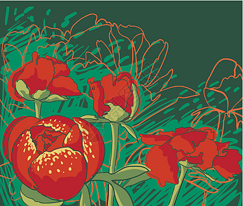 矢量装饰图像牡丹花植物学正方形花园牡丹花朵风格叶子花店墙纸橙子图片