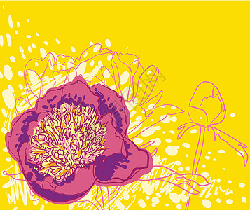 矢量装饰图像牡丹花橙子织物植物学绘画介子问候语花瓣牡丹植物花店图片