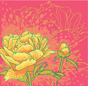 矢量装饰图像牡丹花介子花瓣叶子花朵风格正方形问候语墙纸植物插图图片