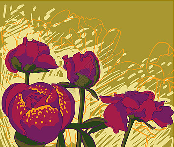 矢量装饰图像牡丹花正方形花园绘画叶子介子草图织物风格问候语植物学图片