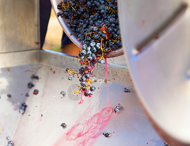 冷冻机碎碎石机用葡萄洗脱葡萄酿酒农场酒厂收成粉碎水果液体葡萄园机械破碎机制作人图片