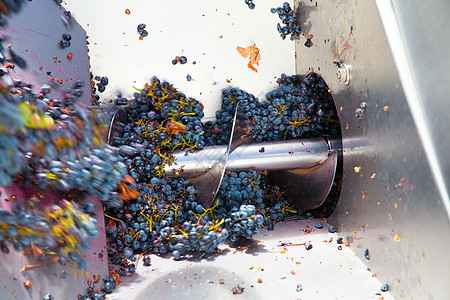 冷冻机碎碎石机用葡萄洗脱葡萄酿酒生产液体水果食物酒庄工厂破碎机加工藤蔓机械图片