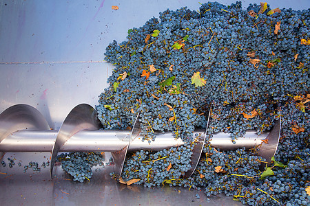 冷冻机碎碎石机用葡萄洗脱葡萄酿酒制造业粉碎种子酒厂加工农场破碎机葡萄园工厂生产图片