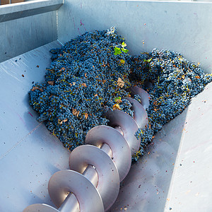 冷冻机碎碎石机用葡萄洗脱葡萄酿酒种子机械制造业酒厂酒庄果汁过滤藤蔓发酵加工图片
