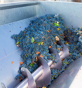 冷冻机碎碎石机用葡萄洗脱葡萄酿酒机械酒庄机器收成制造业栽培食物种子发酵液体图片