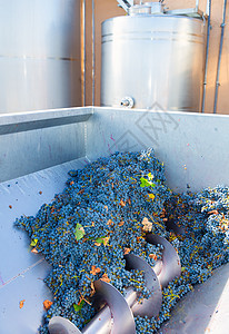 冷冻机碎碎石机用葡萄洗脱葡萄酿酒机械种子加工过滤水果栽培破碎机液体酒厂工厂图片
