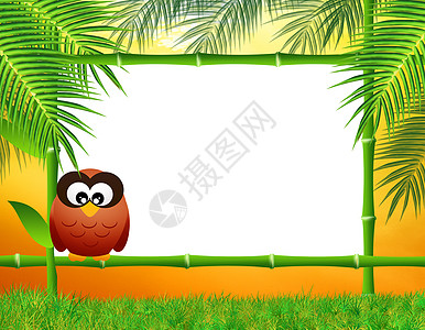 猫头鹰场地荒野树叶斑马动物竹子日落面板河马黑板图片