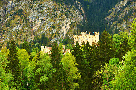 德国的霍亨施旺高城堡国王黄色堡垒建筑建筑学旅行森林地标城堡大厦图片
