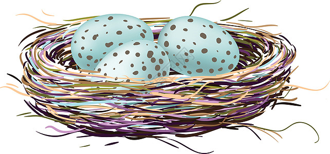 鸡蛋鸟巢图片