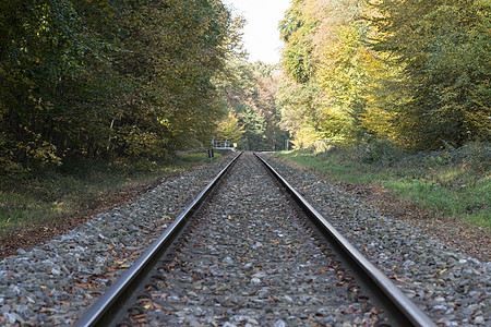 铁路铁路轨道火车森林过境交通旅行金子石头黄色铁轨红色图片