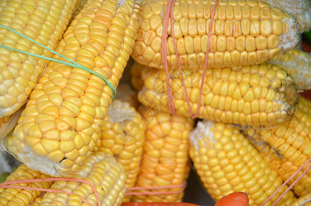 玉米果食物静物水果粮食玉米爆米花棒子饮食植物生产图片