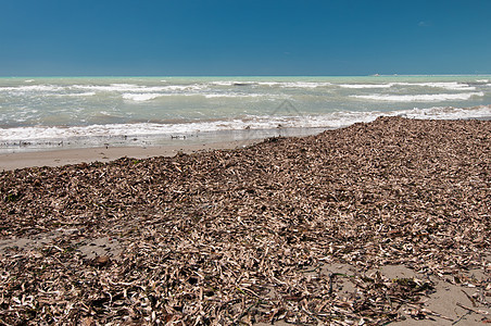 意大利低季节的无漏沙滩图片
