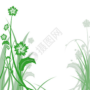 绿色植物创造力叶子绿色风格花朵植物装饰植物学曲线卷曲图片