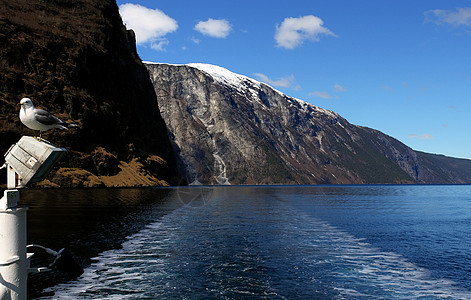 古德万根fjord风景 山在背地和小船图片