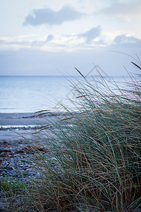 冬季秋天的黄海风景美丽的沙丘旅游海滩天空蓝色闲暇海景海岸地平线环境旅行图片