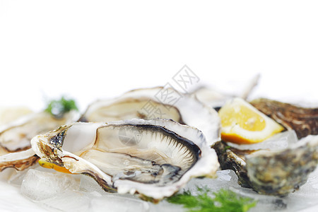 含柠檬和的牡蛎草本植物壳类奢华海鲜盘子美食熟食饮食贝类午餐图片