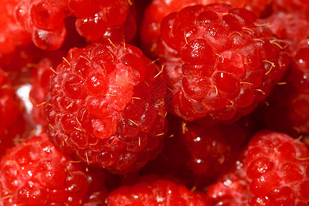 树莓草莓宏观覆盆子饮食季节营养味道荒野食物诱惑果汁图片