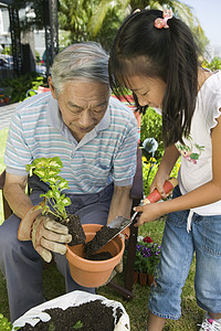 和外孙女一起在花园里打工的亚洲祖父图片