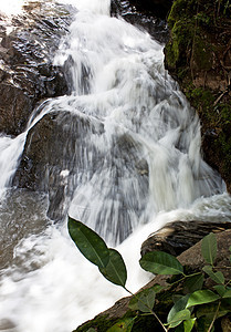 梅萨瀑布岩石石头环境水平接触运动自来水溪流苔藓风景图片