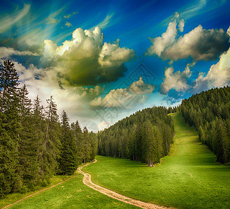 美丽的多洛米人森林 意大利阿尔卑斯山草地和树木旅游山脉全景森林天空绿色旅行高山场地图片