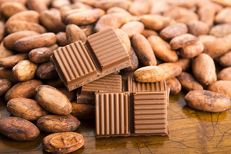 咖啡豆和奶巧克力水果饮食种子营养农业美食棕色热带团体白色图片
