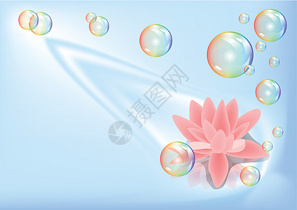 莲和泡泡图片