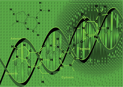 带有DNA的背景背景图片