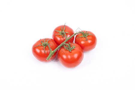 白背景的葡萄藤上的番茄红色营养藤蔓沙拉食物西红柿白色水果维生素市场图片
