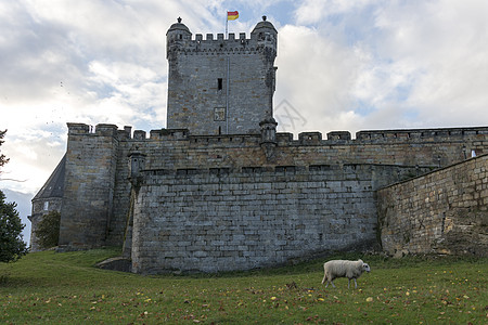 位于德意志的不祥弯曲海姆城堡天空建筑学黑色哺乳动物废墟动物旗帜红色绿色石头图片