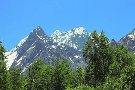 下方的青森林和绿林爬坡岩石木头旅游高山旅行树叶顶峰蓝色天空图片