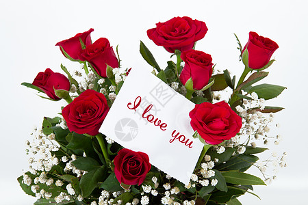 带文字的红玫瑰玫瑰影棚情人文具记事本贴纸礼物笔记横幅卡片图片
