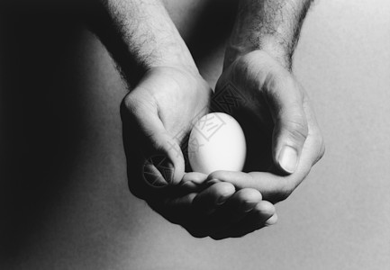 将鸡蛋握在包着的手(b&w)(特写)图片