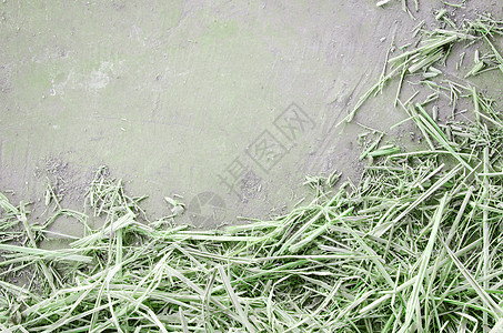 绿色背景沥青石头稻草水泥人行道粒状岩石碎石古董图片
